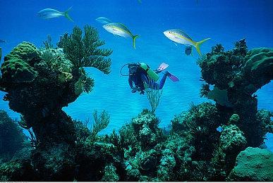 2分钟拿捏国内外玩家，这或许是战术竞技下一个爆款